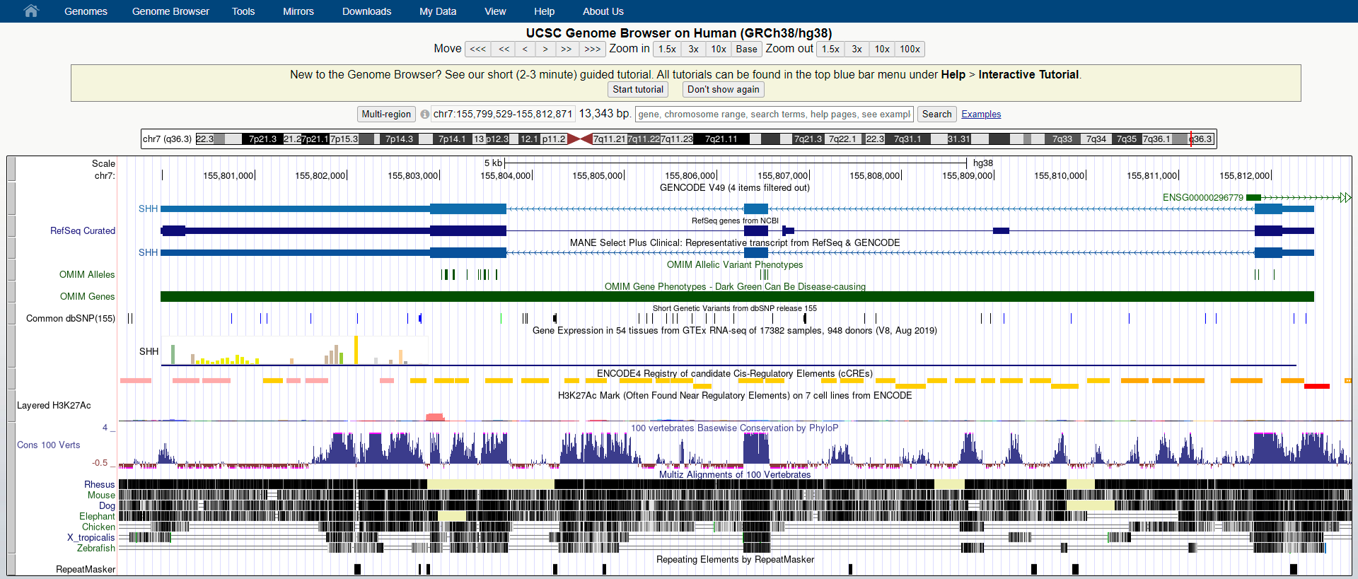 Reference Genome Browser실행 화면